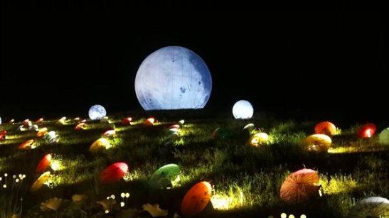 1611882905159060038.png 97c57ee7d5845e4f8847459f4aa9d308.png